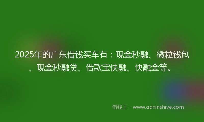 2025年的广东借钱买车有：现金秒融、微粒钱包、现金秒融贷、借款宝快融、快融金等。