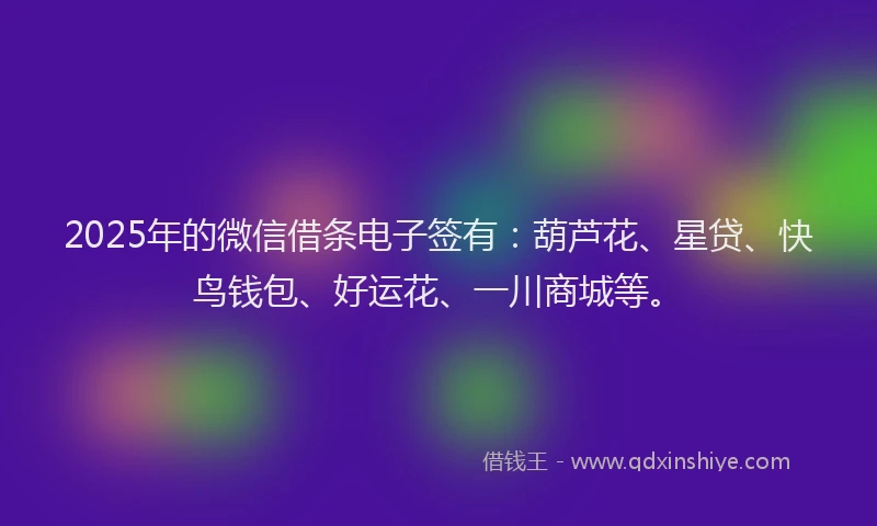 2025年的微信借条电子签有：葫芦花、星贷、快鸟钱包、好运花、一川商城等。