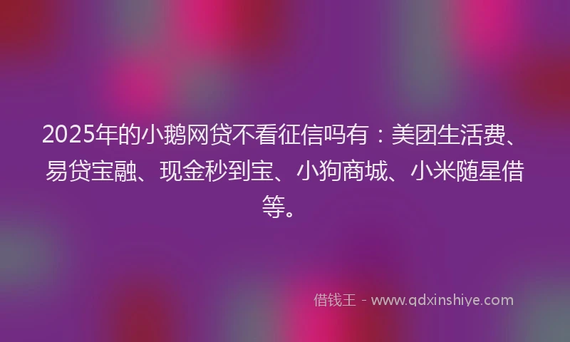 2025年的小鹅网贷不看征信吗有：美团生活费、易贷宝融、现金秒到宝、小狗商城、小米随星借等。