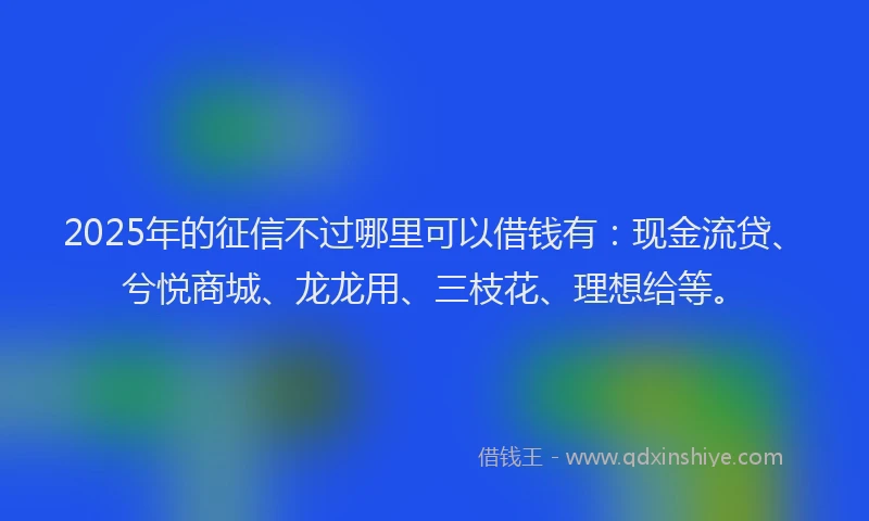 2025年的征信不过哪里可以借钱有：现金流贷、兮悦商城、龙龙用、三枝花、理想给等。