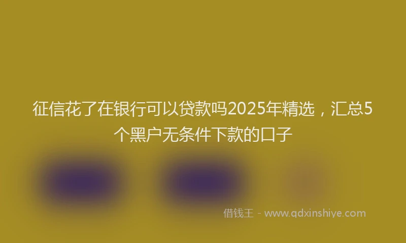 征信花了在银行可以贷款吗2025年精选，汇总5个黑户无条件下款的口子