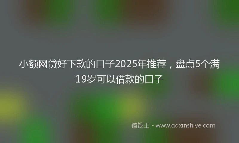 小额网贷好下款的口子2025年推荐，盘点5个满19岁可以借款的口子