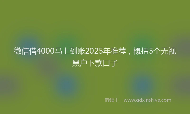 微信借4000马上到账2025年推荐，概括5个无视黑户下款口子