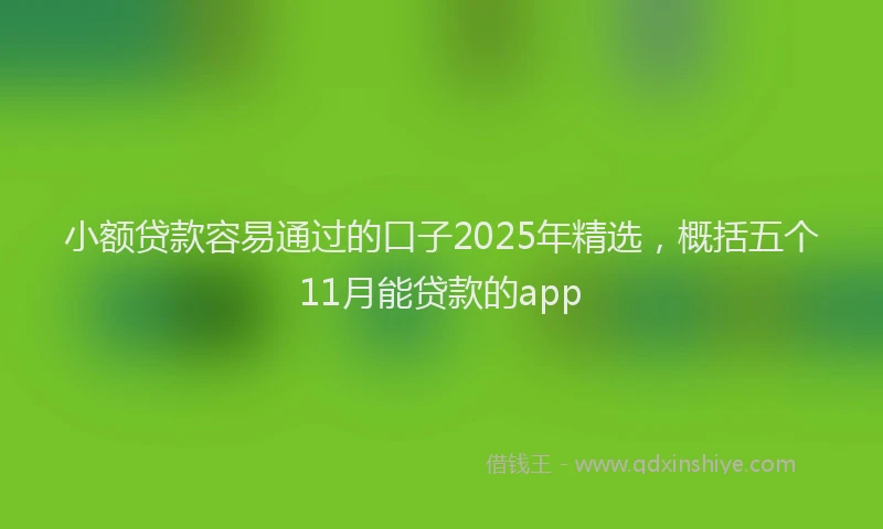 小额贷款容易通过的口子2025年精选，概括五个11月能贷款的app