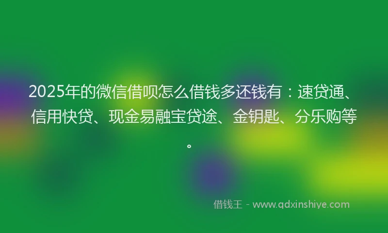 2025年的微信借呗怎么借钱多还钱有：速贷通、信用快贷、现金易融宝贷途、金钥匙、分乐购等。