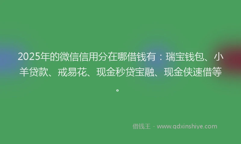 2025年的微信信用分在哪借钱有：瑞宝钱包、小羊贷款、戒易花、现金秒贷宝融、现金侠速借等。