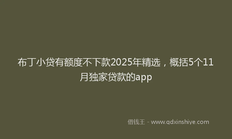 布丁小贷有额度不下款2025年精选，概括5个11月独家贷款的app