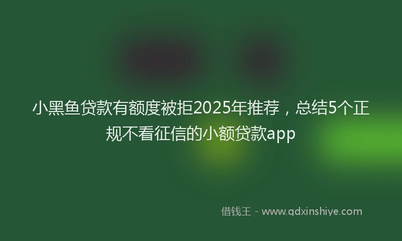 小黑鱼贷款有额度被拒2025年推荐，总结5个正规不看征信的小额贷款app