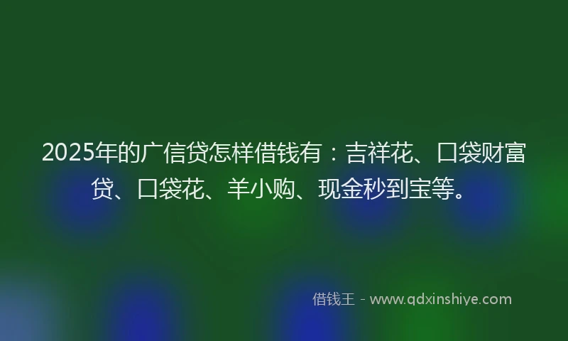 2025年的广信贷怎样借钱有：吉祥花、口袋财富贷、口袋花、羊小购、现金秒到宝等。