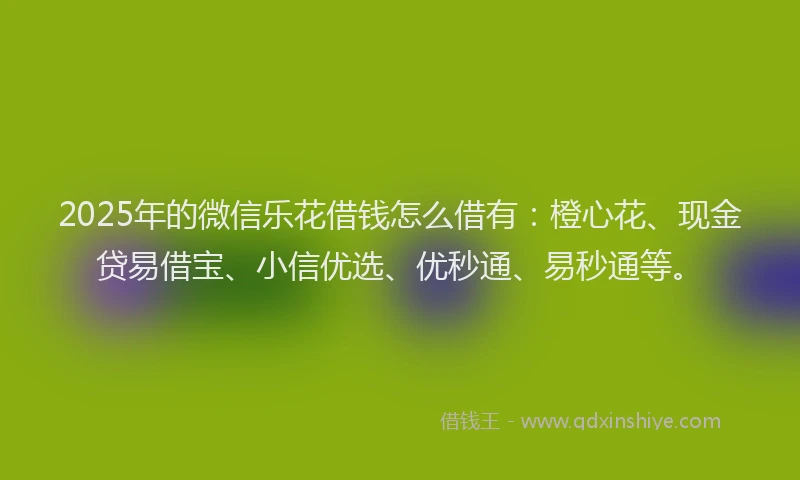 2025年的微信乐花借钱怎么借有：橙心花、现金贷易借宝、小信优选、优秒通、易秒通等。