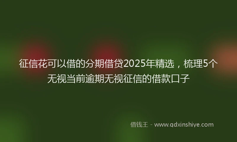征信花可以借的分期借贷2025年精选，梳理5个无视当前逾期无视征信的借款口子