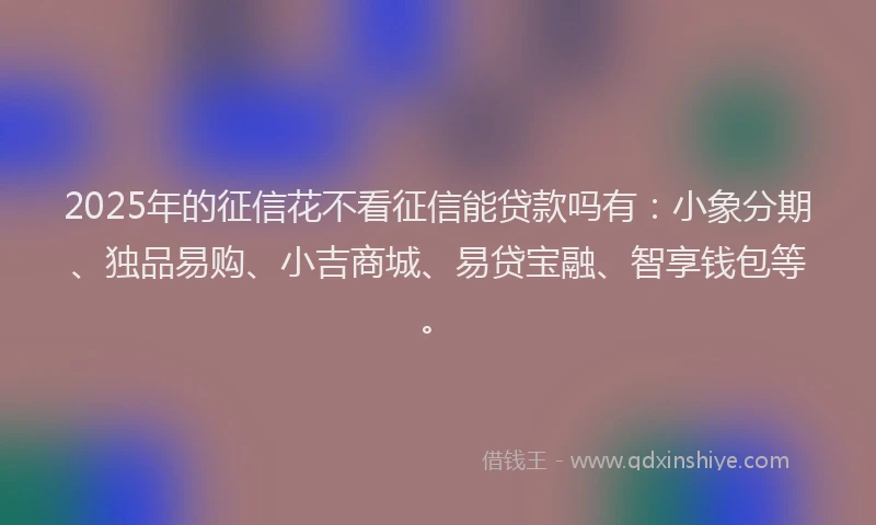 2025年的征信花不看征信能贷款吗有：小象分期、独品易购、小吉商城、易贷宝融、智享钱包等。