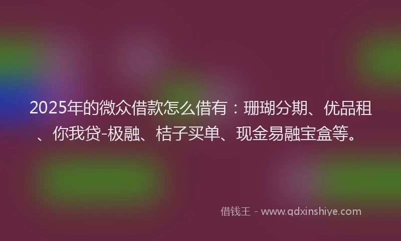 2025年的微众借款怎么借有：珊瑚分期、优品租、你我贷-极融、桔子买单、现金易融宝盒等。