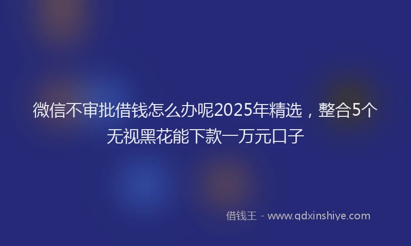微信不审批借钱怎么办呢2025年精选，整合5个无视黑花能下款一万元口子