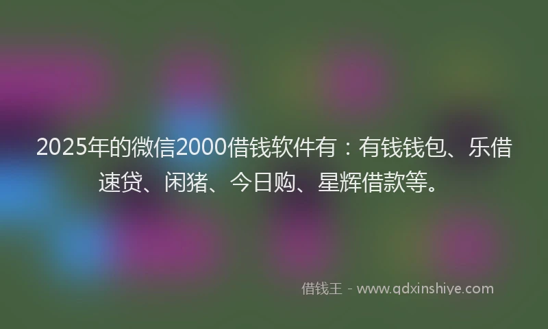 2025年的微信2000借钱软件有：有钱钱包、乐借速贷、闲猪、今日购、星辉借款等。