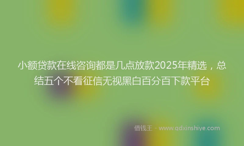 小额贷款在线咨询都是几点放款2025年精选，总结五个不看征信无视黑白百分百下款平台