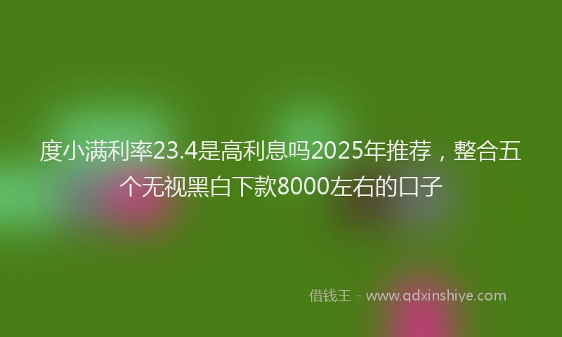 度小满利率23.4是高利息吗2025年推荐，整合五个无视黑白下款8000左右的口子