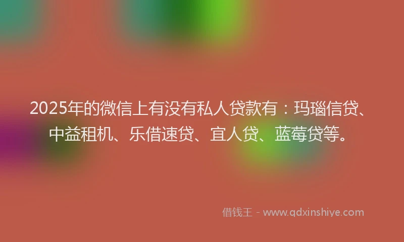 2025年的微信上有没有私人贷款有：玛瑙信贷、中益租机、乐借速贷、宜人贷、蓝莓贷等。