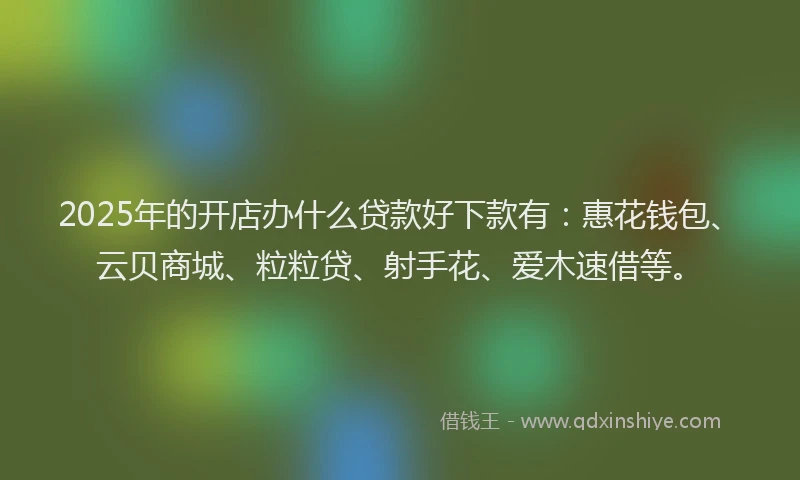 2025年的开店办什么贷款好下款有：惠花钱包、云贝商城、粒粒贷、射手花、爱木速借等。