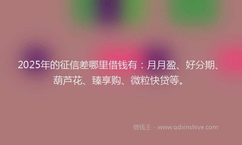 2025年的征信差哪里借钱有：月月盈、好分期、葫芦花、臻享购、微粒快贷等。