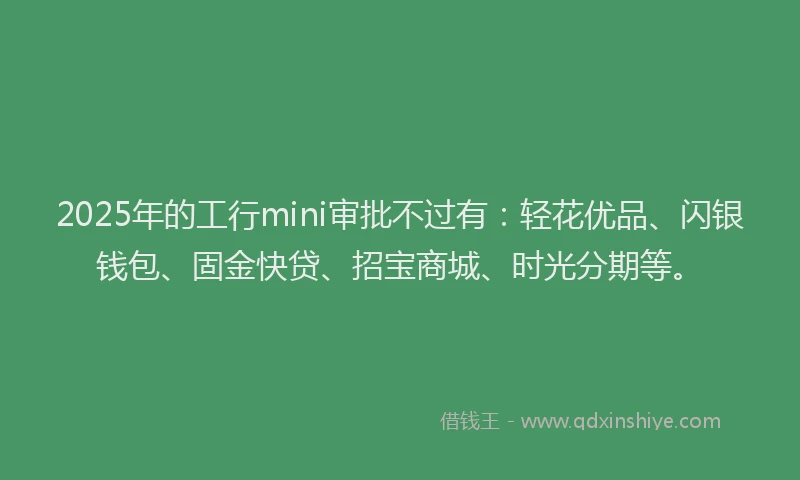 2025年的工行mini审批不过有：轻花优品、闪银钱包、固金快贷、招宝商城、时光分期等。