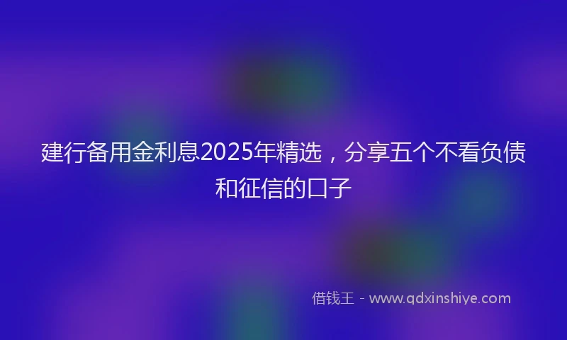 建行备用金利息2025年精选，分享五个不看负债和征信的口子