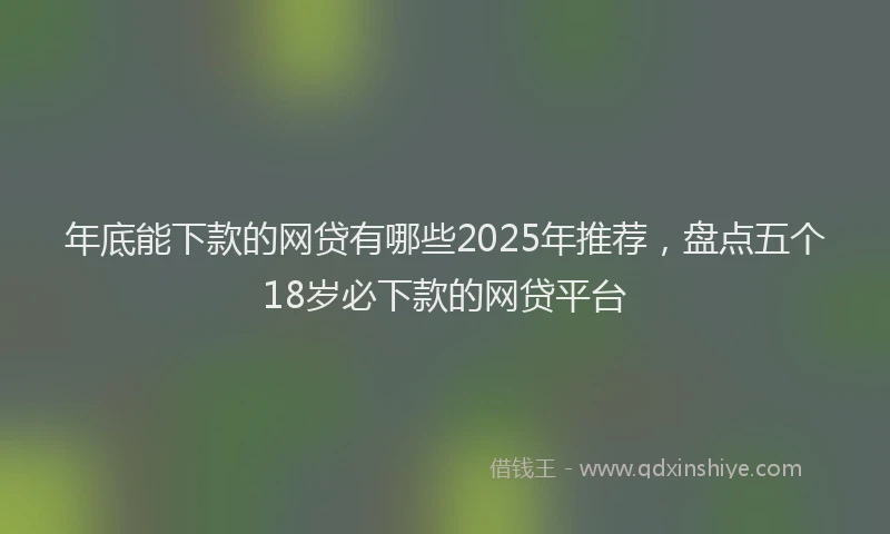 年底能下款的网贷有哪些2025年推荐，盘点五个18岁必下款的网贷平台