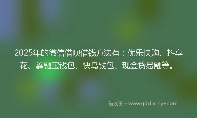 2025年的微信借呗借钱方法有：优乐快购、抖享花、鑫融宝钱包、快鸟钱包、现金贷易融等。