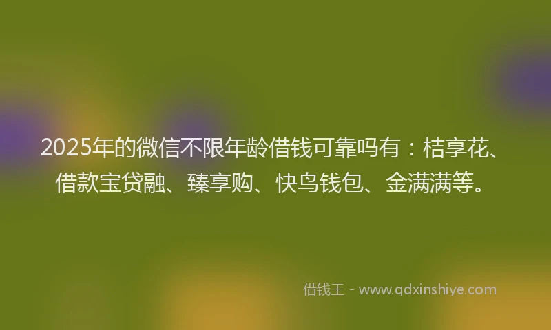 2025年的微信不限年龄借钱可靠吗有：桔享花、借款宝贷融、臻享购、快鸟钱包、金满满等。