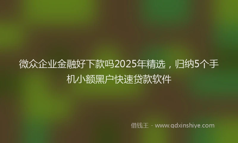 微众企业金融好下款吗2025年精选，归纳5个手机小额黑户快速贷款软件