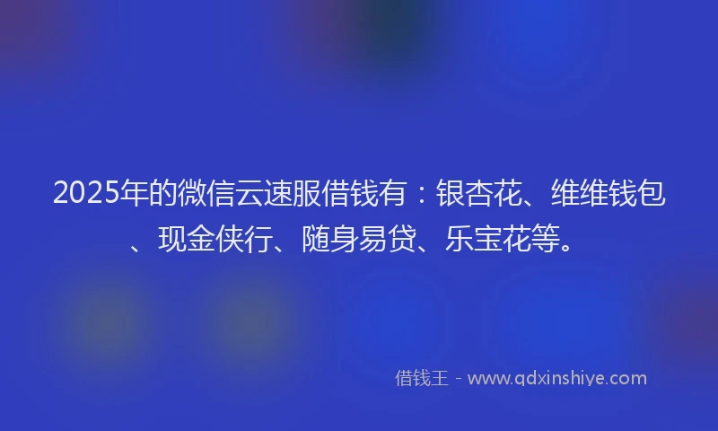 2025年的微信云速服借钱有：银杏花、维维钱包、现金侠行、随身易贷、乐宝花等。