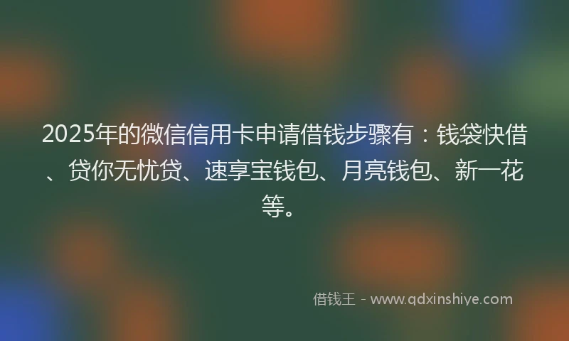 2025年的微信信用卡申请借钱步骤有：钱袋快借、贷你无忧贷、速享宝钱包、月亮钱包、新一花等。
