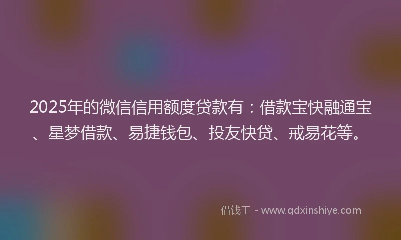 2025年的微信信用额度贷款有：借款宝快融通宝、星梦借款、易捷钱包、投友快贷、戒易花等。