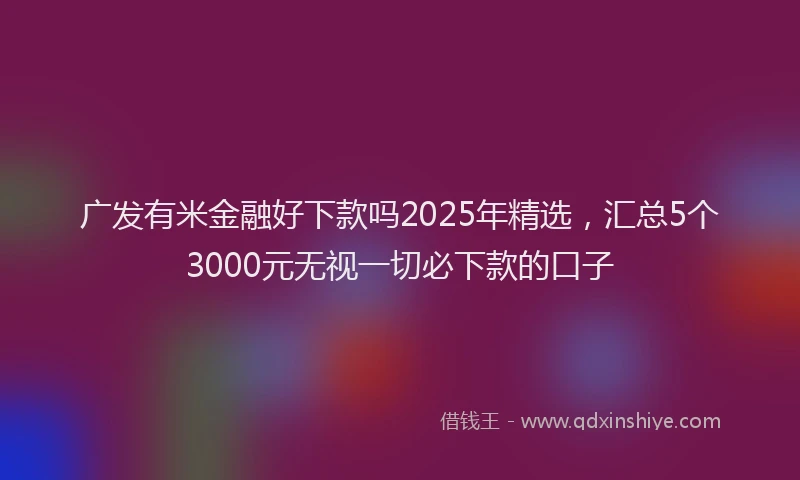 广发有米金融好下款吗2025年精选，汇总5个3000元无视一切必下款的口子