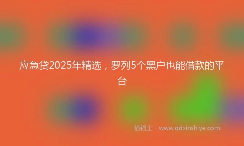 应急贷2025年精选，罗列5个黑户也能借款的平台