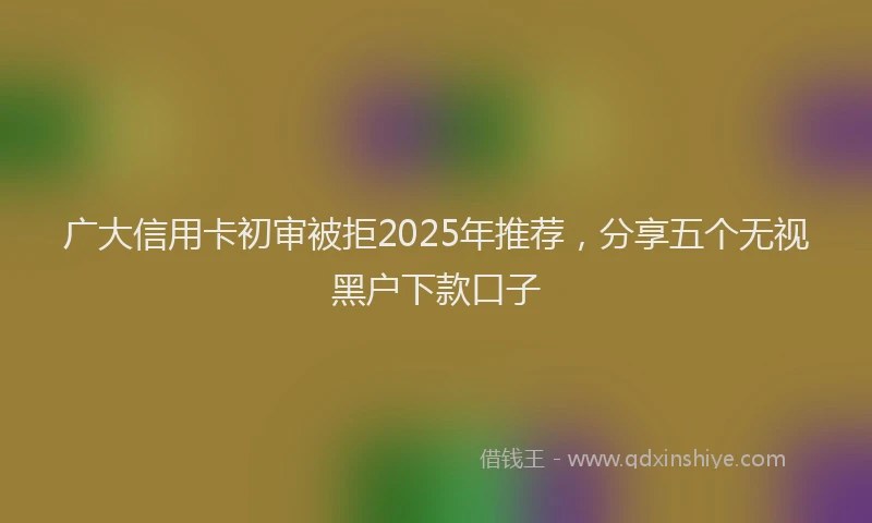 广大信用卡初审被拒2025年推荐，分享五个无视黑户下款口子