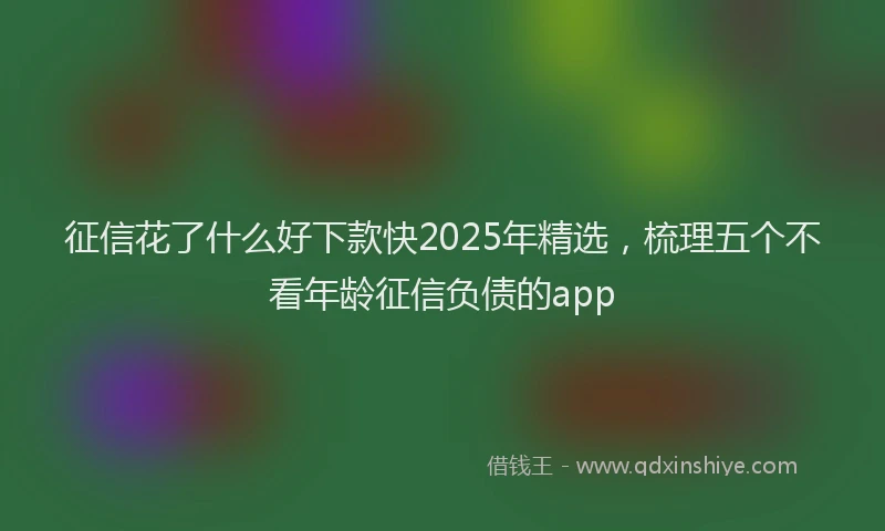 征信花了什么好下款快2025年精选，梳理五个不看年龄征信负债的app