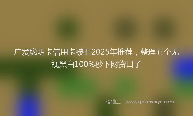 广发聪明卡信用卡被拒2025年推荐，整理五个无视黑白100%秒下网贷口子