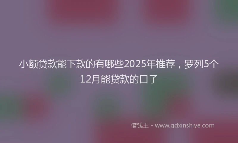 小额贷款能下款的有哪些2025年推荐，罗列5个12月能贷款的口子