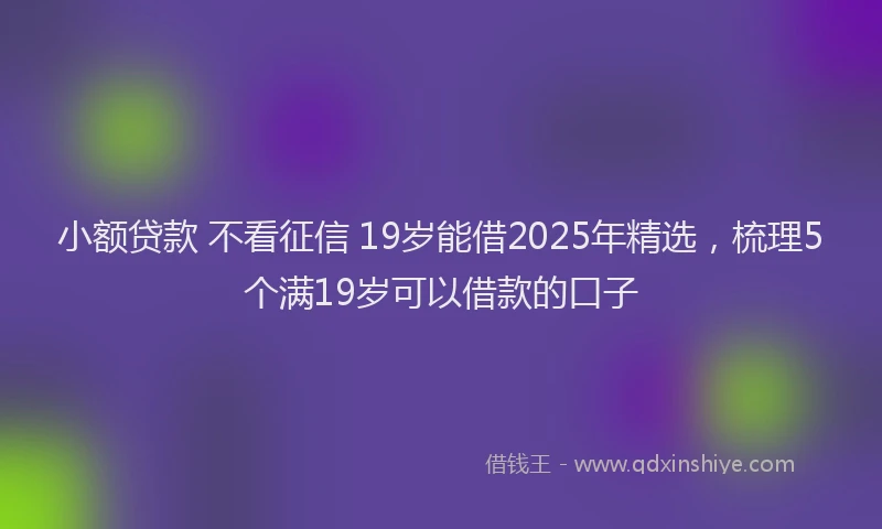 小额贷款 不看征信 19岁能借2025年精选，梳理5个满19岁可以借款的口子