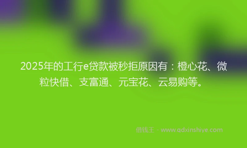 2025年的工行e贷款被秒拒原因有：橙心花、微粒快借、支富通、元宝花、云易购等。