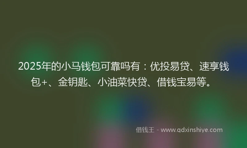 2025年的小马钱包可靠吗有：优投易贷、速享钱包+、金钥匙、小油菜快贷、借钱宝易等。