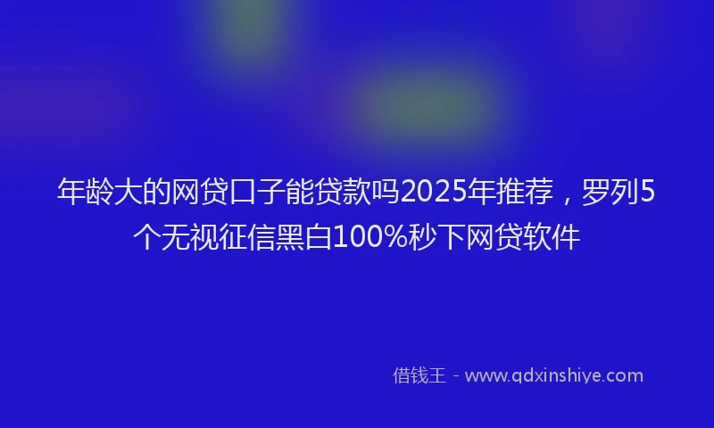 年龄大的网贷口子能贷款吗2025年推荐，罗列5个无视征信黑白100%秒下网贷软件