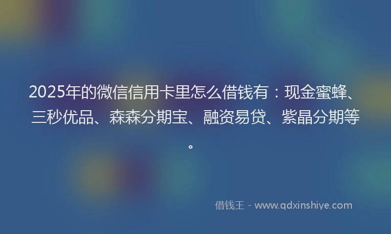 2025年的微信信用卡里怎么借钱有：现金蜜蜂、三秒优品、森森分期宝、融资易贷、紫晶分期等。