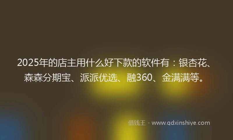 2025年的店主用什么好下款的软件有：银杏花、森森分期宝、派派优选、融360、金满满等。