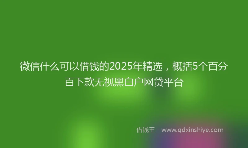 微信什么可以借钱的2025年精选，概括5个百分百下款无视黑白户网贷平台