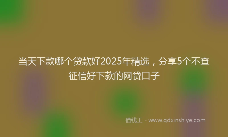 当天下款哪个贷款好2025年精选，分享5个不查征信好下款的网贷口子