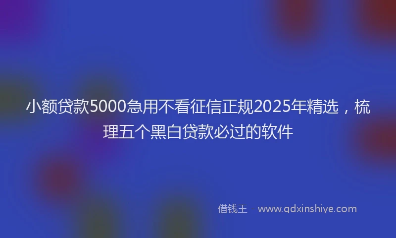 小额贷款5000急用不看征信正规2025年精选，梳理五个黑白贷款必过的软件