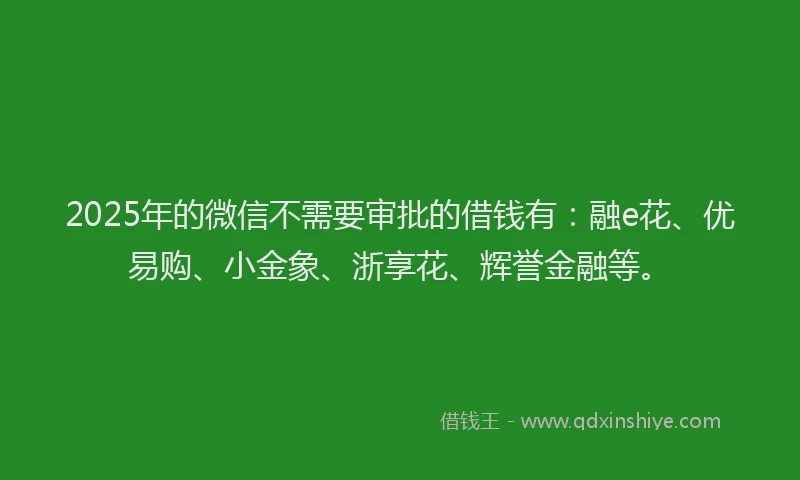 2025年的微信不需要审批的借钱有：融e花、优易购、小金象、浙享花、辉誉金融等。