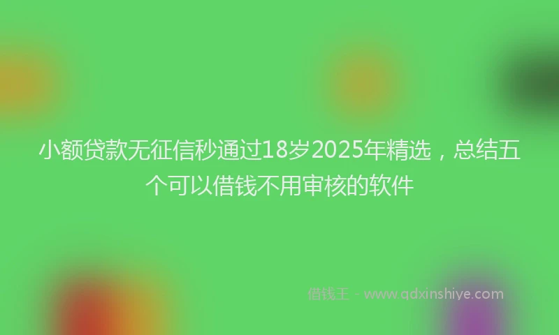 小额贷款无征信秒通过18岁2025年精选，总结五个可以借钱不用审核的软件